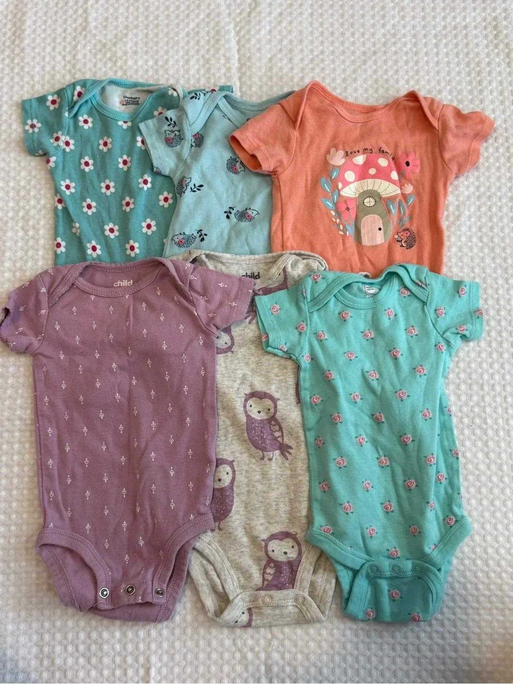 Bundle of 6 3-6m Short Sleeve Bodysuits
